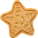 Butter Cookie